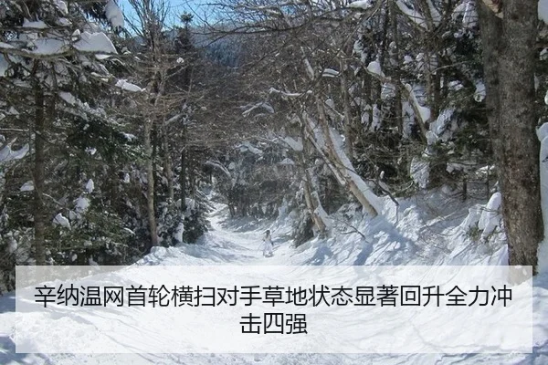 辛纳温网首轮横扫对手草地状态显著回升全力冲击四强